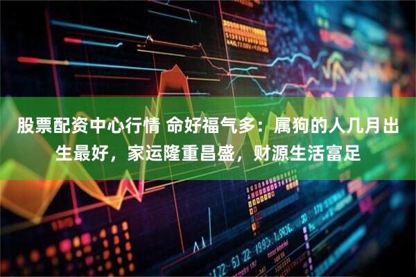 股票配资中心行情 命好福气多：属狗的人几月出生最好，家运隆重昌盛，财源生活富足